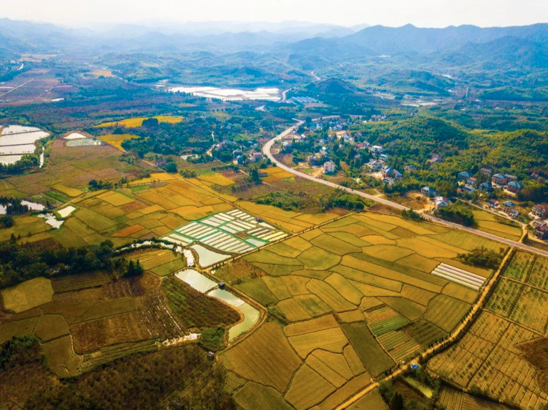 微信图片_20260318145304_92_4.png 微信图片_20260318145304_92_4.png